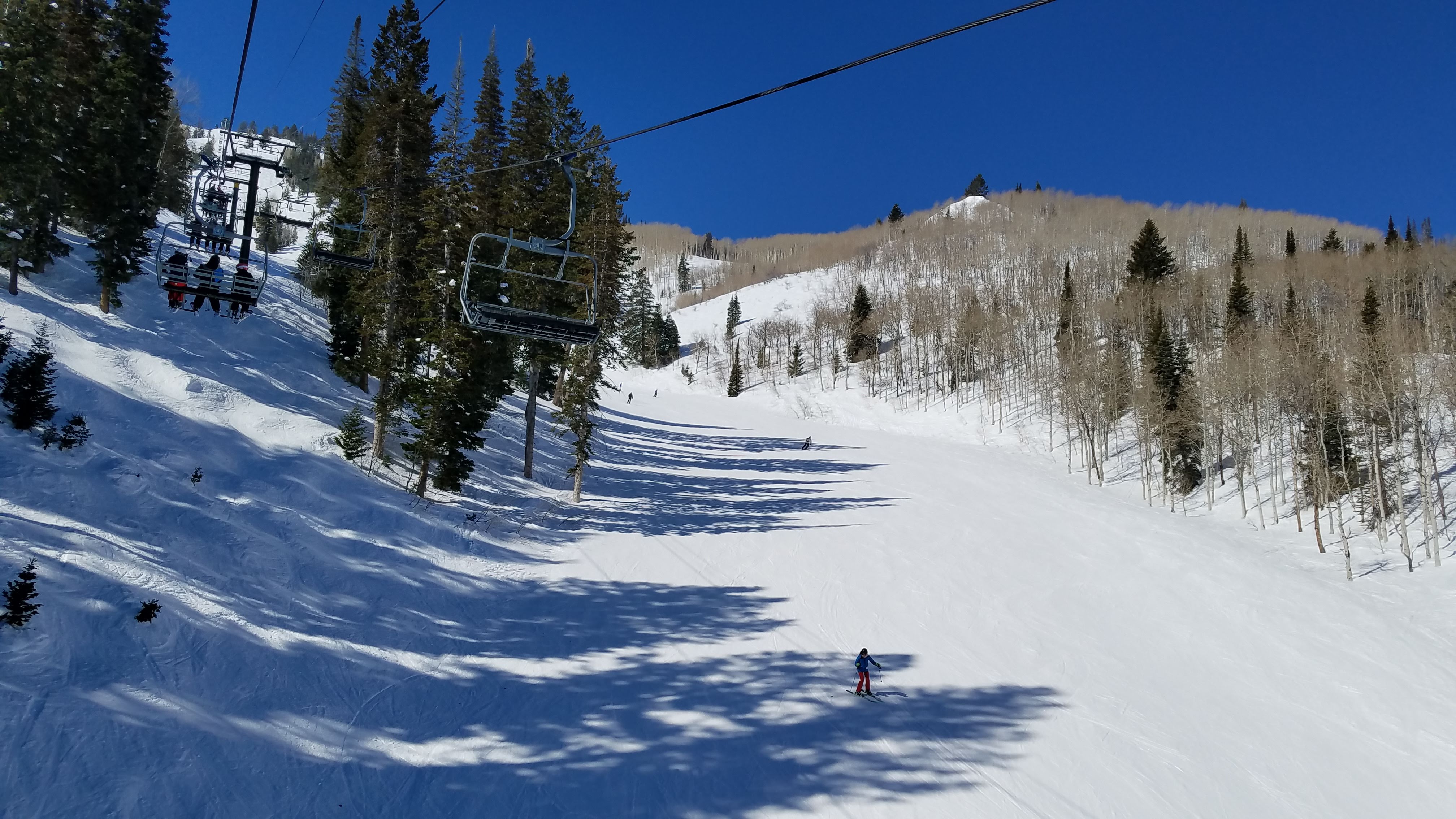 Ski Trips